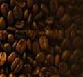 Coffea Rostir image 6