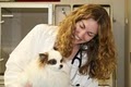 Columbia River Veterinary Specialists image 4