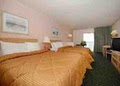 Comfort Inn Boardwalk image 8