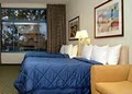 Comfort Inn & Executive Suites image 2