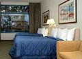 Comfort Inn & Executive Suites image 7