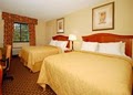 Comfort Inn Lakes Region image 7