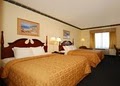 Comfort Inn & Suites Ft.Jackson Maingate image 5