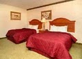 Comfort Inn & Suites Hotel - Little Rock Airport image 3