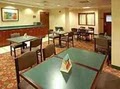 Comfort Inn & Suites image 1