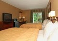 Comfort Inn West image 2