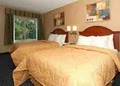 Comfort Inn West image 7
