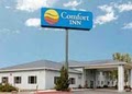 Comfort Inn image 3