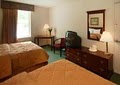 Comfort Inn image 3