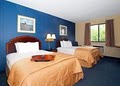Comfort Inn image 4