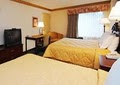 Comfort Inn image 4