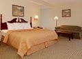 Comfort Inn image 5