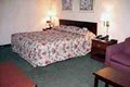 Comfort Inn image 6