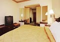Comfort Inn image 6