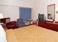 Comfort Inn image 7