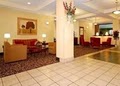 Comfort Inn image 8
