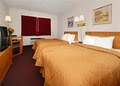 Comfort Inn image 9