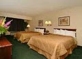 Comfort Inn image 9