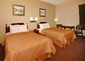 Comfort Inn image 9