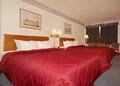 Comfort Inn image 10