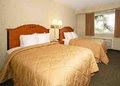 Comfort Inn image 1