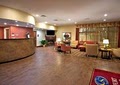 Comfort Suites Golden Isles Gateway image 6