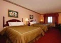 Comfort Suites Inn at Ridgewood Farm image 3