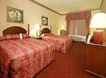 Comfort Suites Inn at Ridgewood Farm image 4