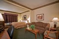 Comfort Suites Milwaukee Airport image 9