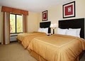 Comfort Suites South Bend image 9