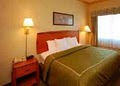 Comfort Suites image 4