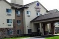 Comfort Suites image 10