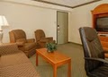 Comfort Suites image 10