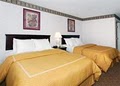 Comfort Suites image 1
