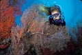 Coral Key Scuba & Travel Ctr image 4