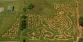 Corn Maze in The Plains Virginia image 2