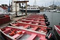 Coronado Boat Rentals image 6