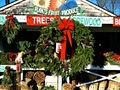 Country Gentleman Christmas Trees | FIREWOOD image 1