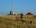 Coyote Creek Organic Feed Mill image 2