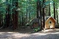 Crescent City/Redwoods Koa image 4