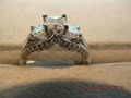 Crosbie Diamonds & Gems image 2