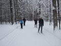 Cross Country Ski Headquarters image 3