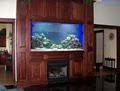 Crystal Clear Aquariums, LLC image 2