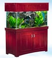 Crystal Clear Aquariums, LLC image 3