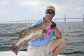 D.R. Guarino Fishing Charters image 7