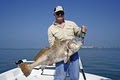 D.R. Guarino Fishing Charters image 8