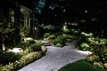 Dabah Landscape Designs image 3