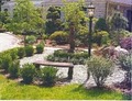 Dabah Landscape Designs image 6