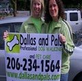 Dallas and Pals Dog Walking and Pet Sitting image 10