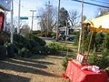 Dave's Maine Trees and Wreath (new location for 2009) image 4